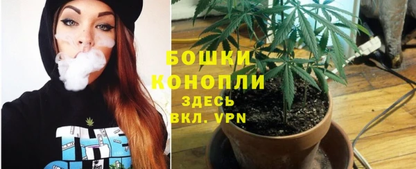 спайс Карпинск