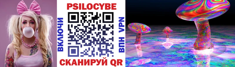 наркошоп  Электрогорск  Псилоцибиновые грибы Psilocybine cubensis 